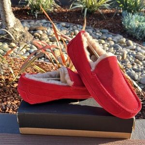 Mens Red Uggs
